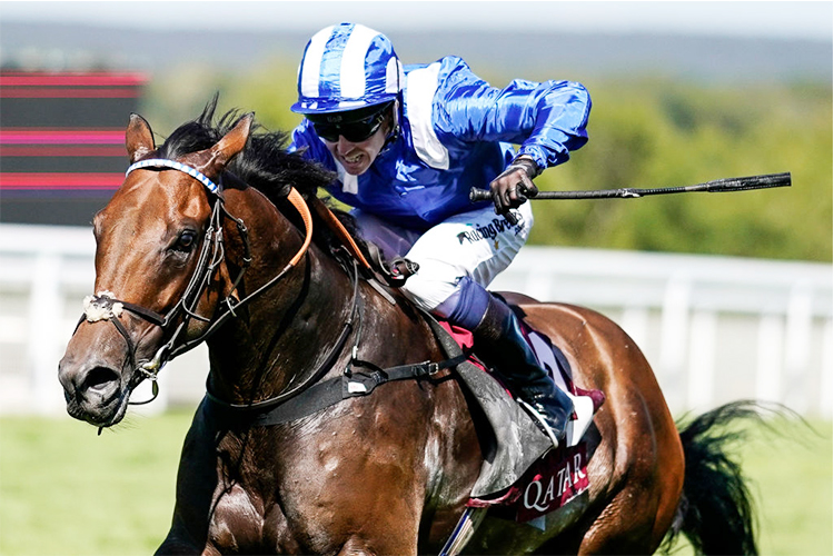 BATTAASH winning the King George Qatar Stakes at Goodwood in Chichester, United Kingdom.