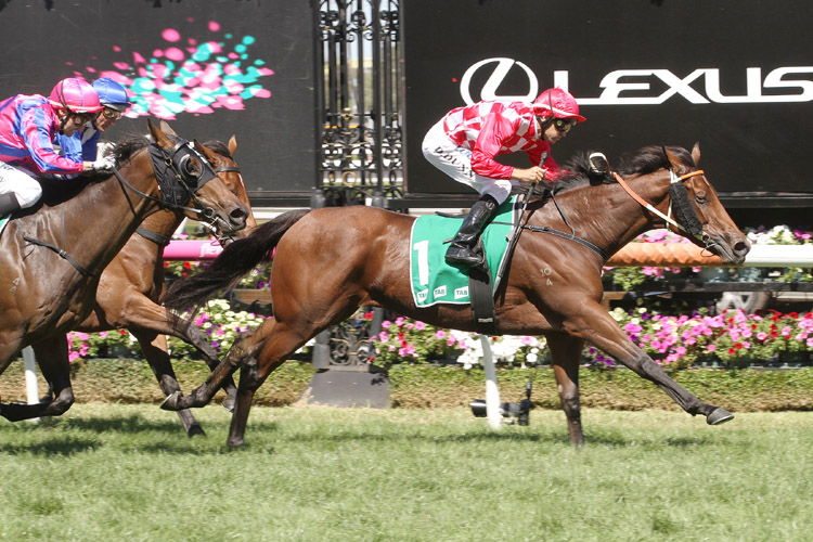 Bella Martini winning the Kewney Stakes