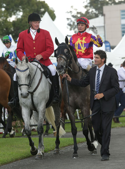 Belle Du Nord returns to the Te Rapa birdcage after success in the Gr.2 Cal Isuzu Stakes.