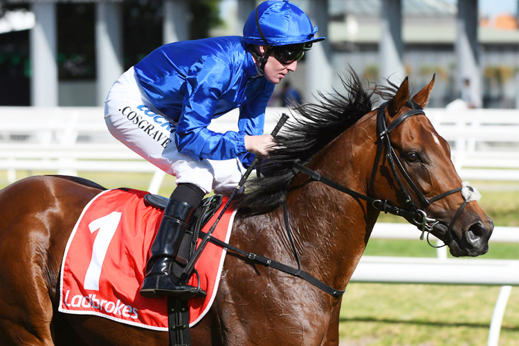 BENBATL winning the Ladbrokes Stakes during Melbourne Racing at Caulfield in Melbourne, Australia.