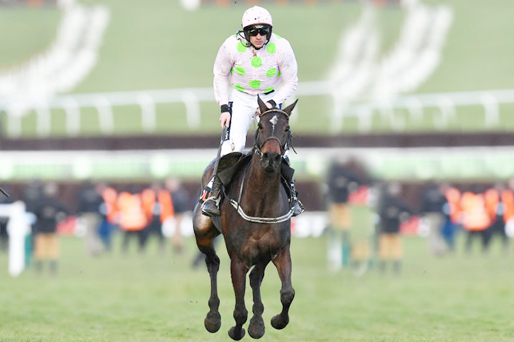 benie des dieux winning the olbg mares hurdle race at