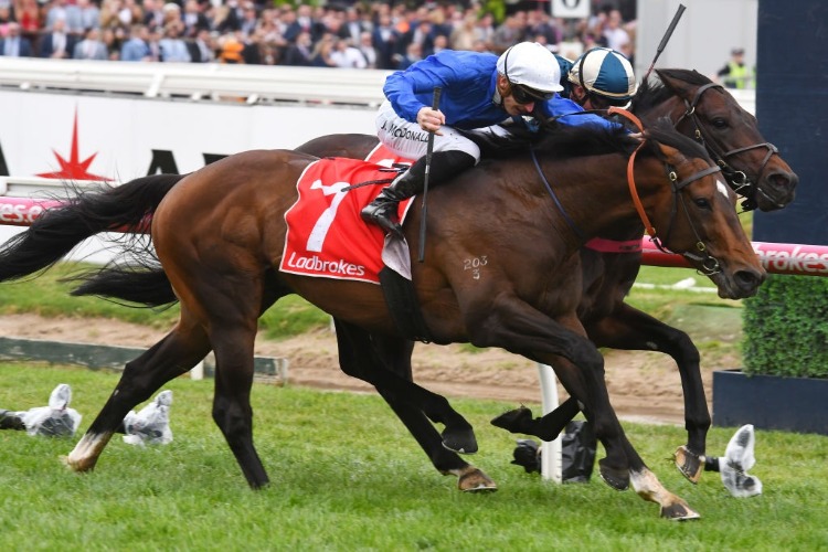 Best Of Days and Mask Of Time, all out in the Ladbrokes Coongy Cup at Caulfield.
