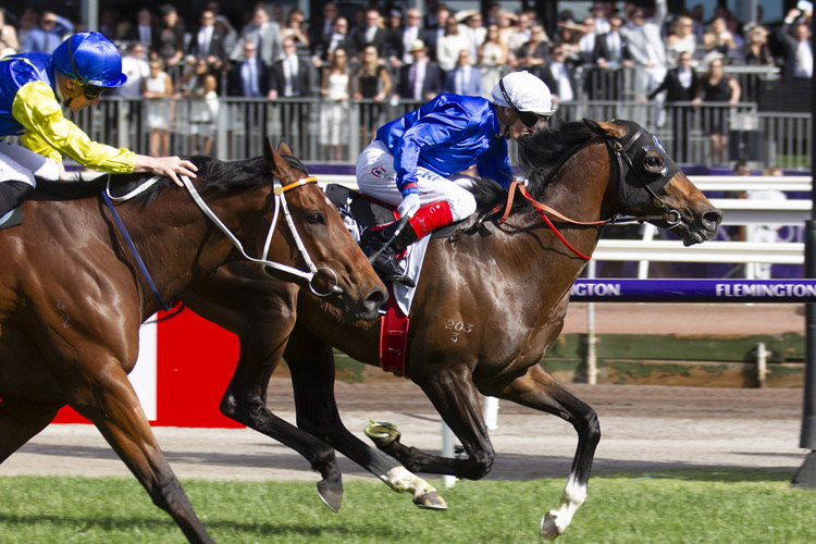 Best Of Days winning the Kennedy Mile Best Of Days winning the Kennedy Mile