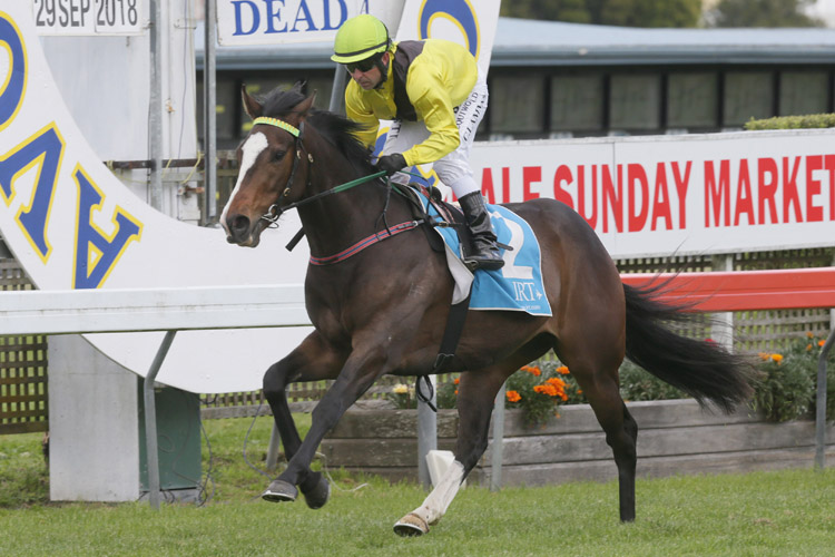 Bit Lippy winning the The Auckland Alarms 3yo