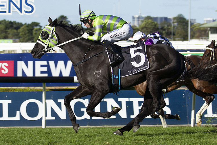 Black On Gold a chance in the Kilmore Cup