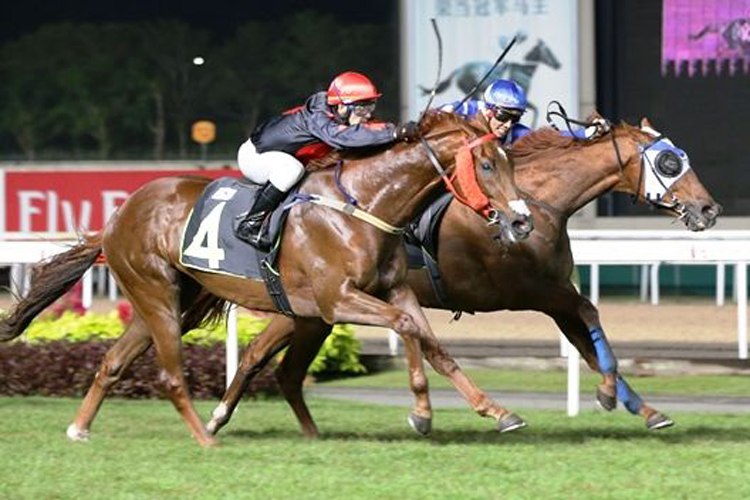 Black Swan(inner) winning the KRANJI STAKES B