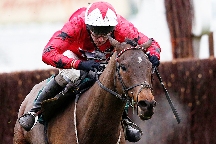 BLAKLION winning the Harrison James and Hardie Novices' Steeple Chase at Cheltenham in England.