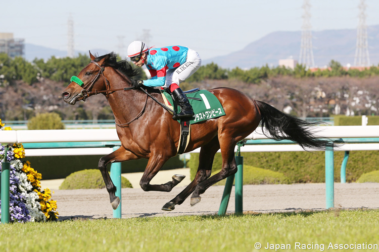 BLAST ONEPIECE winning the Mainichi Hai Stakes in Hanshin, Japan. BLAST ONEPIECE winning the Mainichi Hai Stakes in Hanshin, Japan.