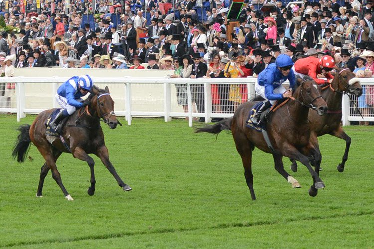 Blue Point winning the Kings Stand Stakes (Group 1) (British Champions Series)