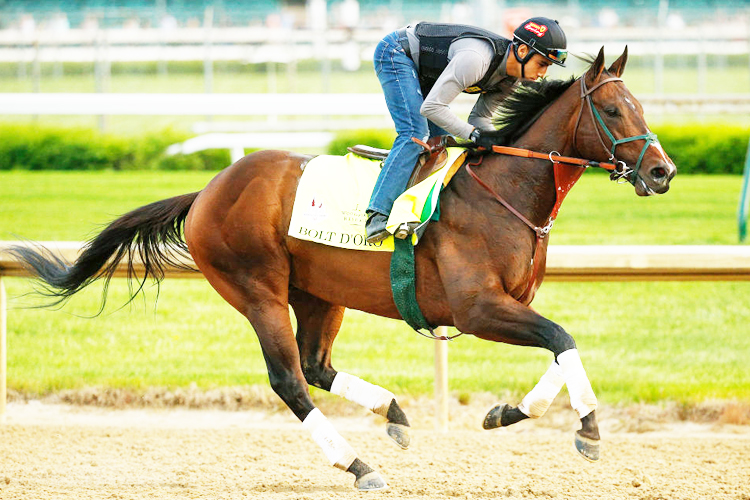 BOLT D'ORO during morning workouts at Churchill Downs in Louisville, Kentucky.