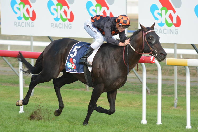 Bondeiger wins the Launceston Cup.