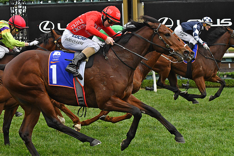 Brave Song a show at Flemington