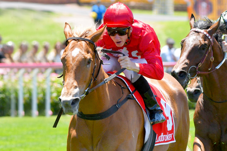 BROOKLYN HUSTLE winning the BuildSafe Plate during Melbourne Racing at Moonee Valley in Melbourne, Australia.