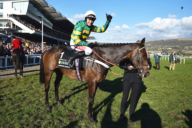 BUVEUR D'AIR winning the Unibet Champion Hurdle Challenge Trophy Race at Cheltenham in England.
