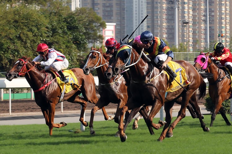 California Whip takes the Hong Kong Macau Trophy. California Whip takes the Hong Kong Macau Trophy.