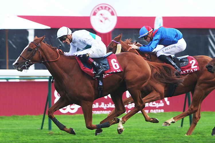 CALL THE WIND was the winner of a Prix Kergorlay.