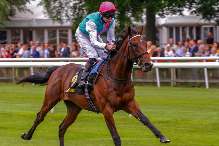 Calyx winning the AFT Fluorotec EBF Novice Stakes (Plus 10)