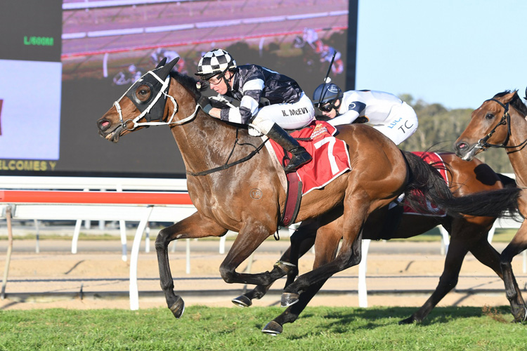 Carzoff wins the Wyong Cup