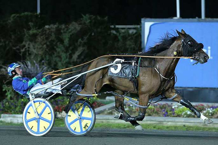 Caviart Ally the best in Milton Caviart Ally the best in Milton