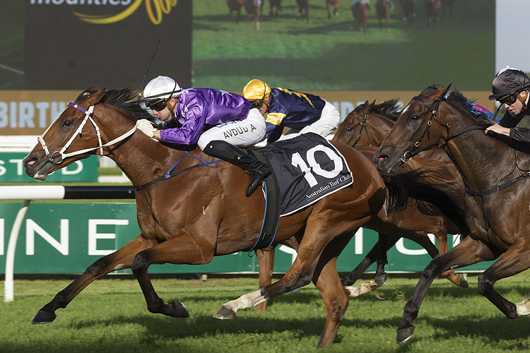 Cellarman winning the Doncaster Prelude