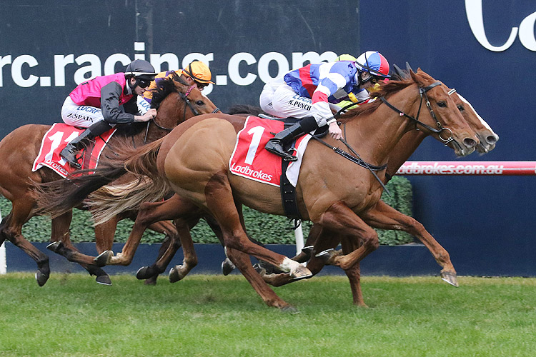 Chamois Road winning the Thanks/Farewell Mike Symon Hcp Chamois Road winning the Thanks/Farewell Mike Symon Hcp