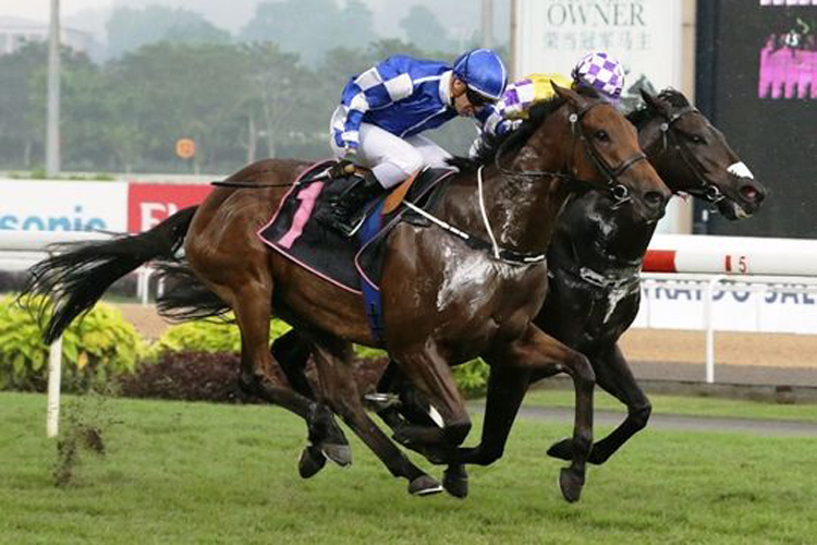 Chopin's Fantaisie winning the JAPAN RACING ASSOCIATION TROPHY KRANJI STAKES B