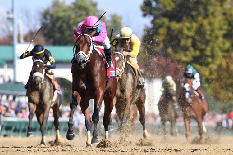 City Of Light winning the Breeders' Cup Dirt Mile (Grade 1) (3yo+) (Main Track)