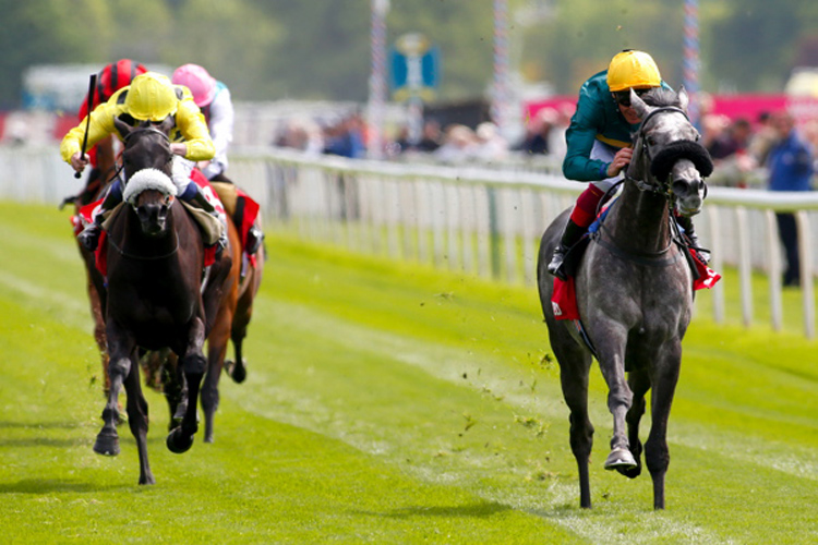 CORONET (R) was the winner of a Prix Jean Romanet.