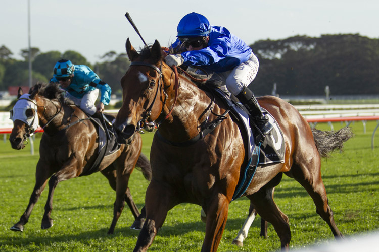 Coruscate winning the Spring Racing (Bm78)