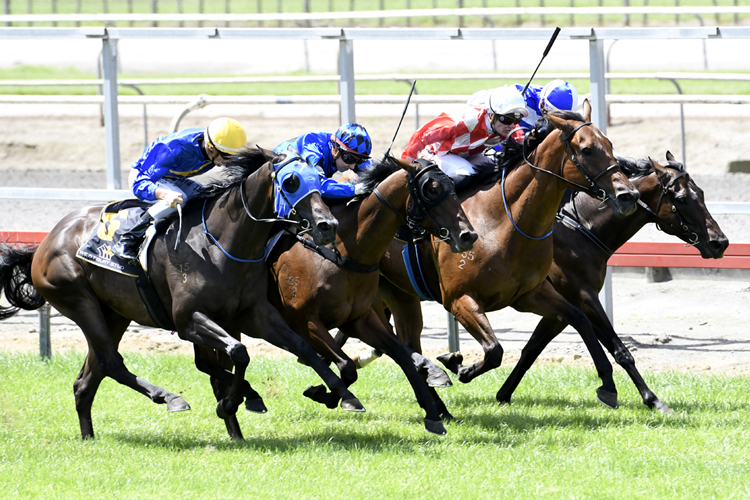 Cote D'Ore (inner) beats Killarney (white cap), Endean Express and Barcelo (blue blinkers)