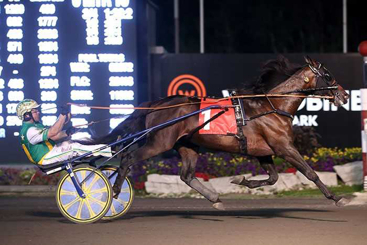 Crazy Wow springs 31-1 upset in Maple Leaf Trot Crazy Wow springs 31-1 upset in Maple Leaf Trot