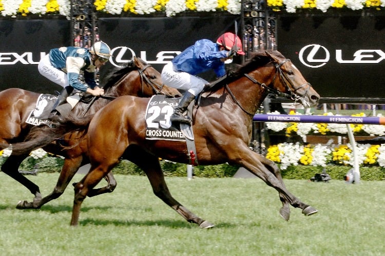 CROSS COUNTER winning the Lexus Melbourne Cup