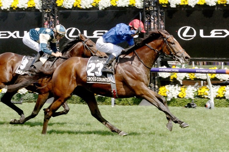 CROSS COUNTER winning the  Melbourne Cup.