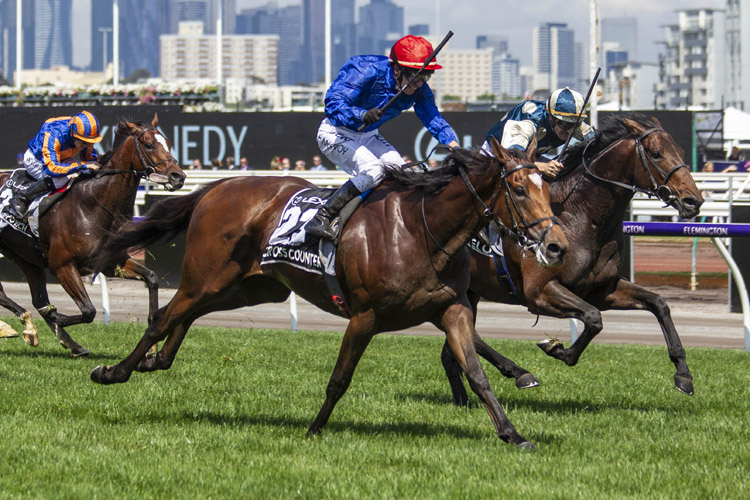 Cross Counter winning the Lexus Melbourne Cup