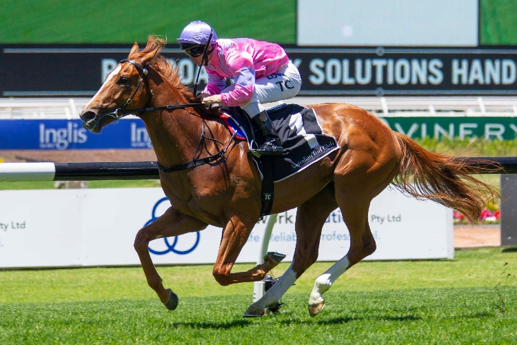 CZARSON winning the Roadwork Solutions Hcp