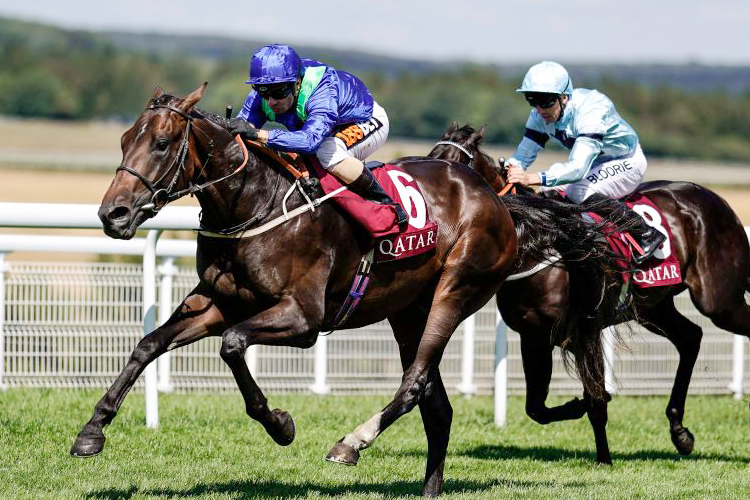 DARK VISION winning the Qatar Vintage Stakes at Goodwood in Chichester, United Kingdom.