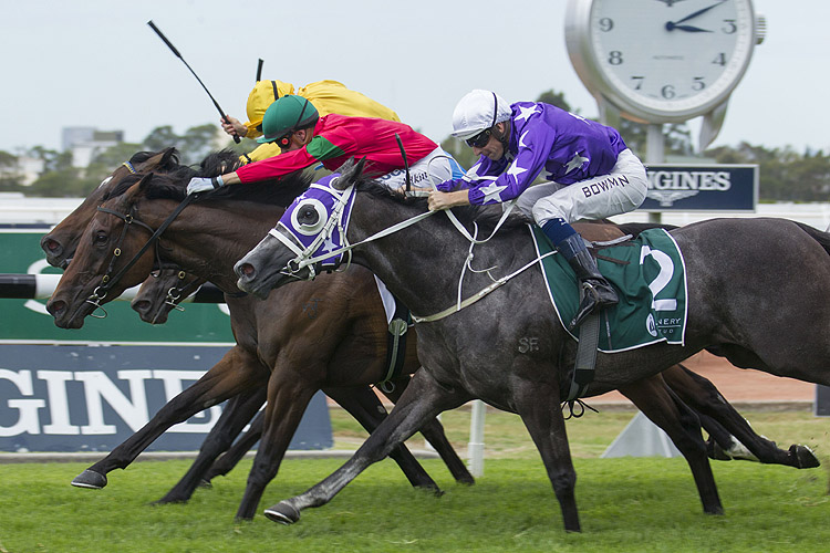 Daysee Doom winning the Millie Fox Stakes