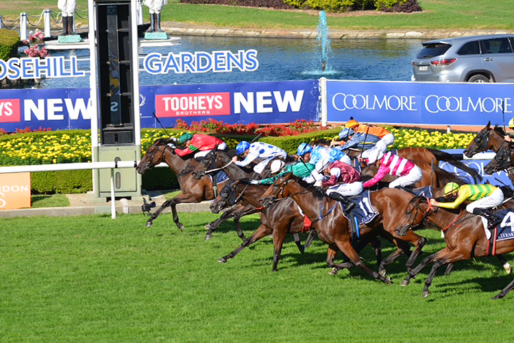 Coolmore Classic finish Coolmore Classic finish