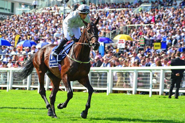 Dee Ex Bee running in the Investec Derby (Group 1)