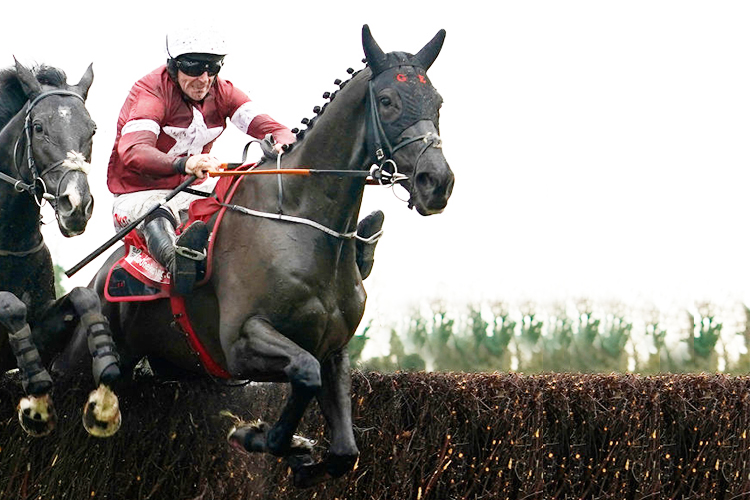 DELTA WORK winning the baroneracing.com Drinmore Novice Chase at Fairyhouse in Ratoath, Ireland.