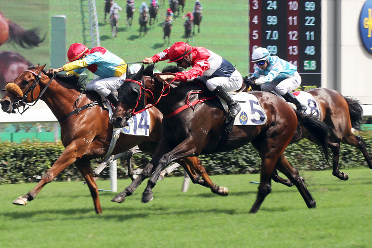 Joao Moreira seals a double as Desmios wins race five. Joao Moreira seals a double as Desmios wins race five.