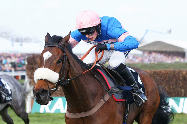 DIEGO DU CHARMIL winning the Doom Bar Maghull Novices' Steeple Chase in Liverpool, England.