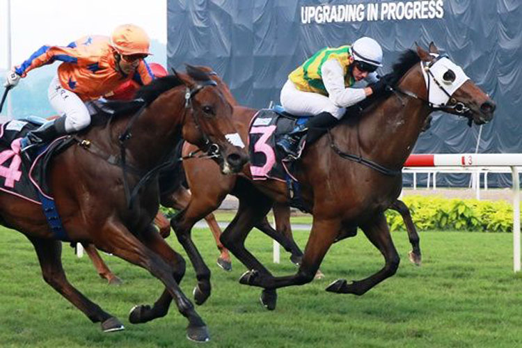 Dinghu Mountain winning the RACING AUSTRALIA TROPHY KRANJI STAKES B