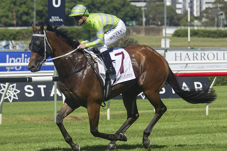 Dissolution running in the Carbine Club