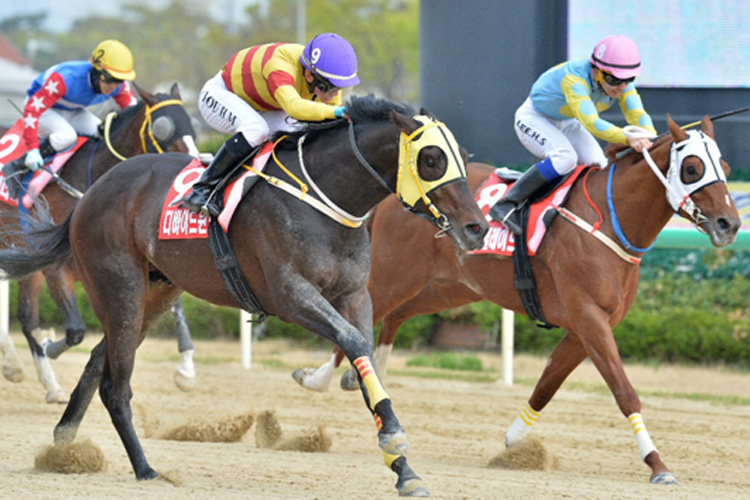 Divide Wind beats Ecton Blade in the KRA Cup Mile Divide Wind beats Ecton Blade in the KRA Cup Mile