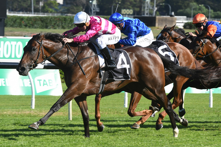 Dixie Blossoms winning the Guy Walter Proven T'breds Stks