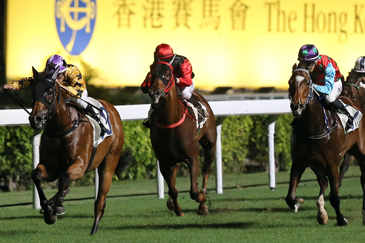 Dragon Pioneer(left) winning the THE ST GEORGE'S CHALLENGE CUP (HANDICAP) Dragon Pioneer(left) winning the THE ST GEORGE'S CHALLENGE CUP (HANDICAP)
