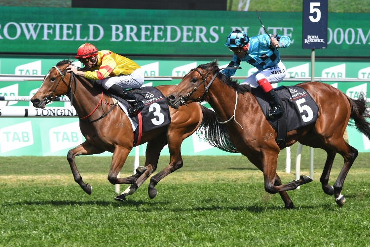 Dubious (right) wins the Breeders Plate