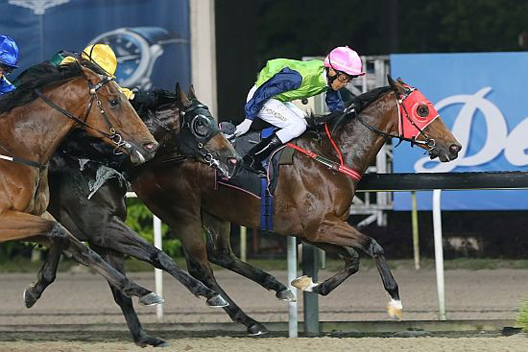 Dutrow winning the KRANJI STAKES C