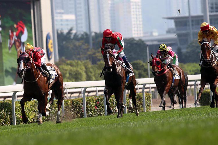 Helene Charisma (red cap) finishes a creditable second behind Eagle Way in the G3 Queen Mother Memorial Cup last season.